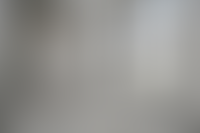 Описание изображения