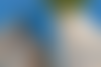 Описание изображения