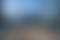 Описание изображения