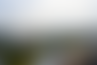 Описание изображения