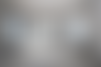 Описание изображения