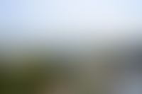 Описание изображения