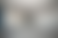 Описание изображения