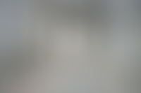 Описание изображения