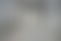 Описание изображения