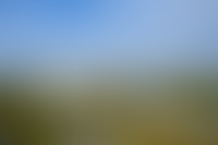 Описание изображения