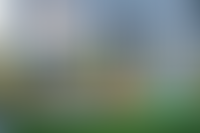 Описание изображения