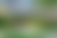 Описание изображения