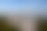 Описание изображения