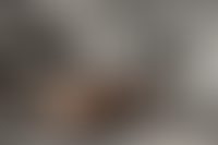 Описание изображения