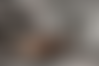 Описание изображения