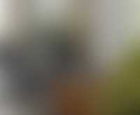 Описание изображения