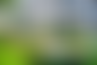 Описание изображения