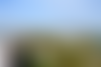 Описание изображения