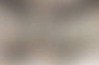 Описание изображения