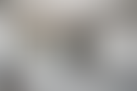 Описание изображения