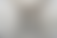 Описание изображения