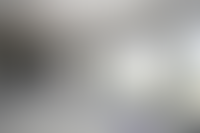 Описание изображения