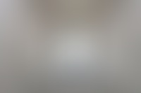 Описание изображения