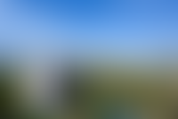 Описание изображения