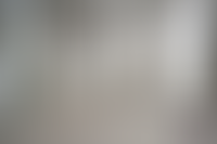 Описание изображения