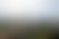 Описание изображения