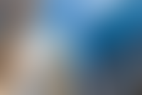 Описание изображения