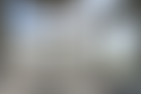 Описание изображения