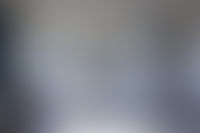 Описание изображения