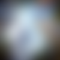 Описание изображения