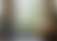 Описание изображения