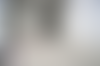 Описание изображения