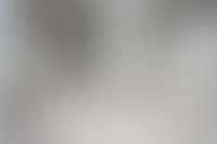 Описание изображения