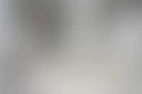 Описание изображения