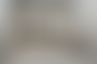 Описание изображения