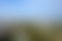 Описание изображения