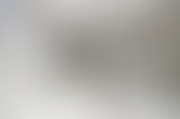 Описание изображения