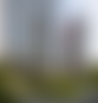 Описание изображения