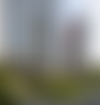 Описание изображения