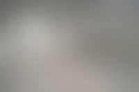 Описание изображения