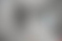 Описание изображения