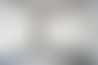 Описание изображения