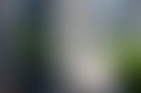 Описание изображения