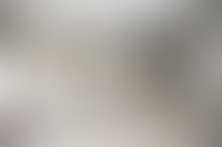 Описание изображения