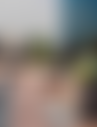 Описание изображения