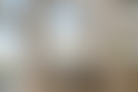 Описание изображения