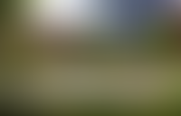 Описание изображения