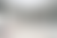 Описание изображения