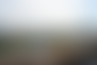 Описание изображения