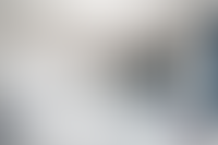 Описание изображения